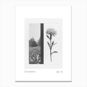 Carnation Botanical Collage 3 Canvas Print