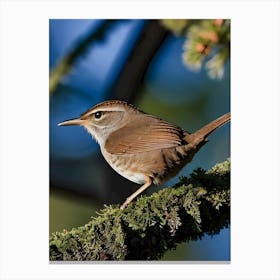 House Wren -Reimagined 13 Canvas Print