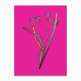 Vintage Anigozanthos Flavida Black and White Gold Leaf Floral Art on Hot Pink n.0863 Canvas Print