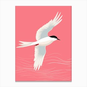 Minimalist Common Tern 1 Illustration Canvas Print