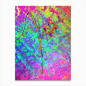 Gladiolus Ringens Botanical in Acid Neon Pink Green and Blue Canvas Print