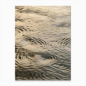 Ripples In The Water 5 Canvas Print
