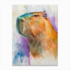 Capybara Colourful Watercolour 3 Canvas Print