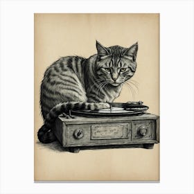 Cat On A Turntable Canvas Print