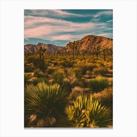 Joshua Tree National Park United States Of America Vintage Poster Canvas Print