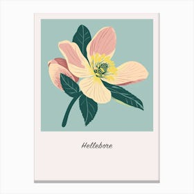 Hellebore 1 Square Flower Illustration Poster Canvas Print