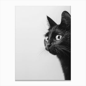 Black Cat Peeking Canvas Print