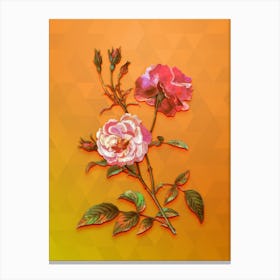 Vintage Ever Blowing Rose Botanical Art on Tangelo n.1907 Canvas Print