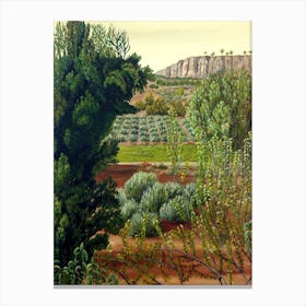 High Mountain Olive Trees Canvas Print