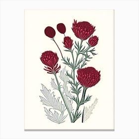 Red Clover Herb William Morris Inspired Line Drawing 1 Canvas Print