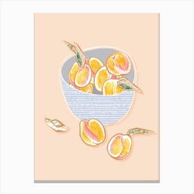 A Bowl Of Apricots Canvas Print