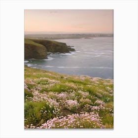 Pink Flowers By The Sea 3 Canvas Print