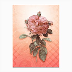 Giant French Rose Vintage Botanical in Peach Fuzz Tartan Plaid Pattern n.0026 Canvas Print