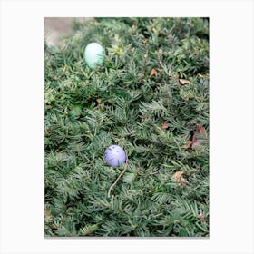 Easter Eggs 160 Canvas Print