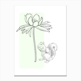 Squirrel And Flower Canvas Print