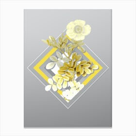 Botanical Macartney Rose in Yellow and Gray Gradient n.066 Canvas Print