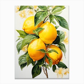 Lemon Slices Delight Canvas Print