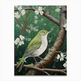 Ohara Koson Inspired Bird Painting Hermit 1 Canvas Print