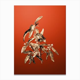 Gold Botanical Russian Olive on Tomato Red Canvas Print