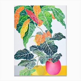 Fiddle Leaf Fig Eclectic Boho Plant Canvas Print