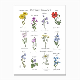 British Wildflowers Canvas Print