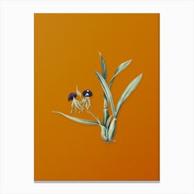 Vintage Clamshell Orchid Botanical on Sunset Orange n.0855 Canvas Print