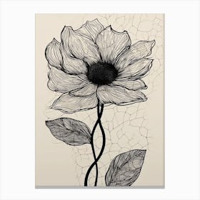 Line Art Sunflower Flowers Illustration Neutral 6 Canvas Print