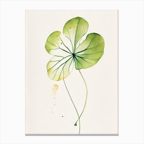 Nasturtium Leaf Minimalist Watercolour 1 Canvas Print