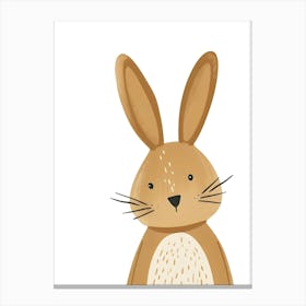 Bunny 1 Canvas Print