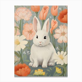 Baby Rabbit Poster (5) Canvas Print