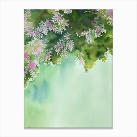 Acropora Hoeksemai Ii Storybook Watercolour Canvas Print