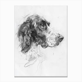 Irish Setter Dog Charcoal Line 2 Canvas Print
