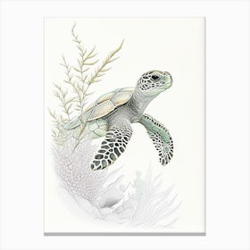 A Single Sea Turtle In Coral Reef, Sea Turtle Quentin Blake Illustration 1 Canvas Print