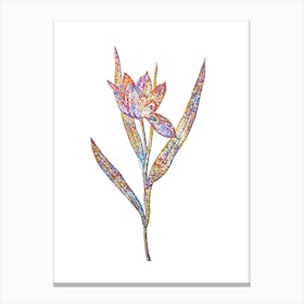 Stained Glass Tulipa Oculus Colis Mosaic Botanical Illustration on White Canvas Print