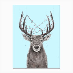 Xmas Deer Canvas Print