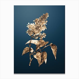 Gold Botanical Common Pink Lilac Plant on Dusk Blue n.3334 Canvas Print