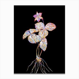 Stained Glass Trillium Rhomboideum Mosaic Botanical Illustration on Black n.0142 Canvas Print