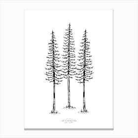 Lonely Pines Fineline Illustration Canvas Print