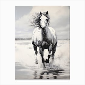 A Horse Oil Painting In  Maldives Beaches, Maldives, Portrait 2 Canvas Print