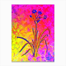 Crytanthus Vittatus Botanical in Acid Neon Pink Green and Blue n.0110 Canvas Print