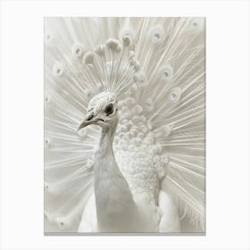 white Peacock Canvas Print