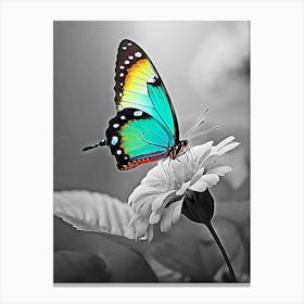 Butterfly On A Flower Canvas Print