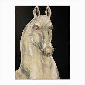 White Horse Marengo Canvas Print