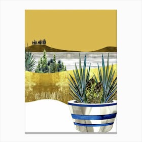 Cactus 33 Canvas Print