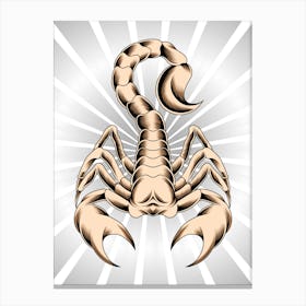 Scorpion Vector Illustration Canvas Print