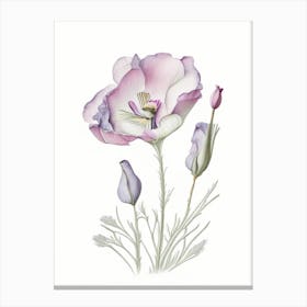 Eustoma Floral Quentin Blake Inspired Illustration 3 Flower Canvas Print