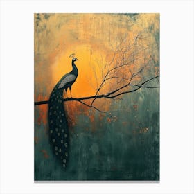 Peacock At Sunset Canvas Print