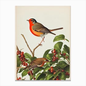 European Robin James Audubon Vintage Style Bird Canvas Print
