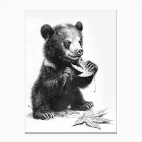 Malayan Sun Bear Cub Playing With A Fallen Leaf Ink Illustration 2 Canvas Print