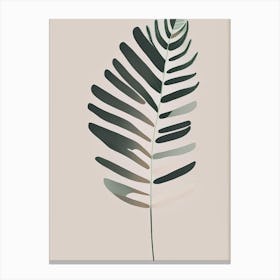 Soft Shield Fern Simplicity Canvas Print